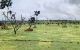 thum-8807594_4J1mNMTidq_1660548800.jpg