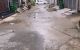 thum-8811861_Ub3RhdN0Ti_1660697204.jpeg