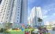 thum-8813102_gMuhe4bGLR_1660734832.jpg