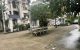 thum-m_ScX428NWlk_1660728262.jpg