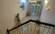 thum-8813656_6epCIh1oDy_1660773458.jpg