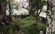 thum-8816087_uDsTVaI8B3_1660871870.jpg