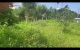 thum-8817296_O6tBzyl3IU_1660903707.jpg