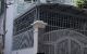 thum-m_fVWBnE1c86_1660910275.jpg