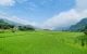 thum-m_ntJV2dpSBE_1660875178.jpg