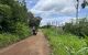 thum-8818397_fDTb7J3LZp_1660961137.jpg