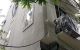 thum-8819222_oyVLmIZbCA_1660987845.JPG
