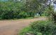 thum-m_z5h8w7HJ3e_1660958734.jpg