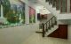 thum-8820532_FhvkP08jHb_1661063614.jpg