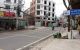 thum-8820608_UMdFvSucrG_1661078713.jpg