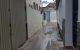 thum-8820636_UcEt1xXpY7_1661083223.jpg