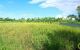 thum-8822381_05uvDZbHxy_1661140846.jpeg