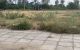 thum-8822664_mgCe0fyoJ6_1661153064.jpg