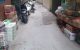 thum-8822832_q61bn2vJI3_1661157168.jpg
