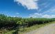 thum-8823165_kyYLvApiG8_1661184950.jpg