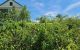 thum-8824069_JN0sck6ghd_1661220250.jpeg
