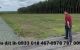 thum-8824314_AdUchClBEs_1661225526.jpg