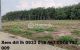 thum-8824314_OKoL1HN0ax_1661225523.jpg