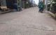 thum-8824444_XWz90FMGpe_1661227534.jpg