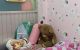 thum-8825052_s0DxazMndq_1661245376.jpg