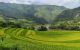 thum-8826074_SVK9FTuRox_1661306539.jpg
