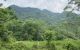thum-8827343_Lk4yPVJxC6_1661355167.jpg