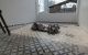 thum-8828346_8tjFcsYONS_1661396218.jpg