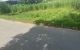 thum-8828769_sEqHkjcX2K_1661410105.jpg