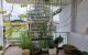 thum-m_cBdn5FRuUs_1661413279.jpg
