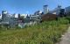 thum-m_dvV5oC7DQf_1661395950.jpg