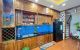 thum-m_xpimE2stUD_1661437584.jpg