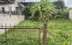 thum-8831128_eVZzuLOINl_1661484611.jpg