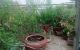 thum-8831632_W8OUJE7mik_1661502066.jpeg