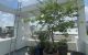 thum-8831856_4qiy9CeXPz_1661514273.jpeg