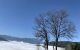 thum-8833316_97bzPTHJnK_1661593303.jpg