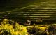 thum-8833316_cr3tp9u7oh_1661593230.jpg