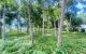 thum-8833505_AiNsldap9F_1661614742.jpg