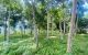 thum-8833505_eGl1Fr0aDY_1661614710.jpg