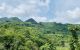 thum-8833509_vcG2d0XhJb_1661616045.jpg
