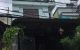 thum-m_RMns93pfqc_1661604706.JPG