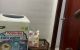 thum-8834257_G9Ii5EpoaY_1661651986.jpg