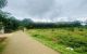thum-8834806_pr3wV5OFzR_1661700528.jpg