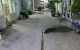 thum-8838308_HYhFtUB3iv_1661835943.jpg