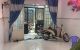 thum-8838357_qnzj9MDKt3_1661842814.jpg