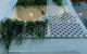 thum-8838927_q3DR0lML6u_1661862742.jpg