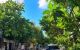 thum-m_np4zELsYWj_1661867783.jpeg