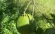 thum-8839730_rwN6qT58ig_1661912532.jpeg
