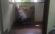 thum-m_KB7uSJ8OTc_1661879484.jpg