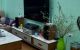 thum-8841600_f5iWHT4QYD_1661993447.jpg