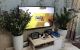 thum-8844222_T8umbwBqX9_1662125513.jpeg